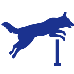 Dog Obedience