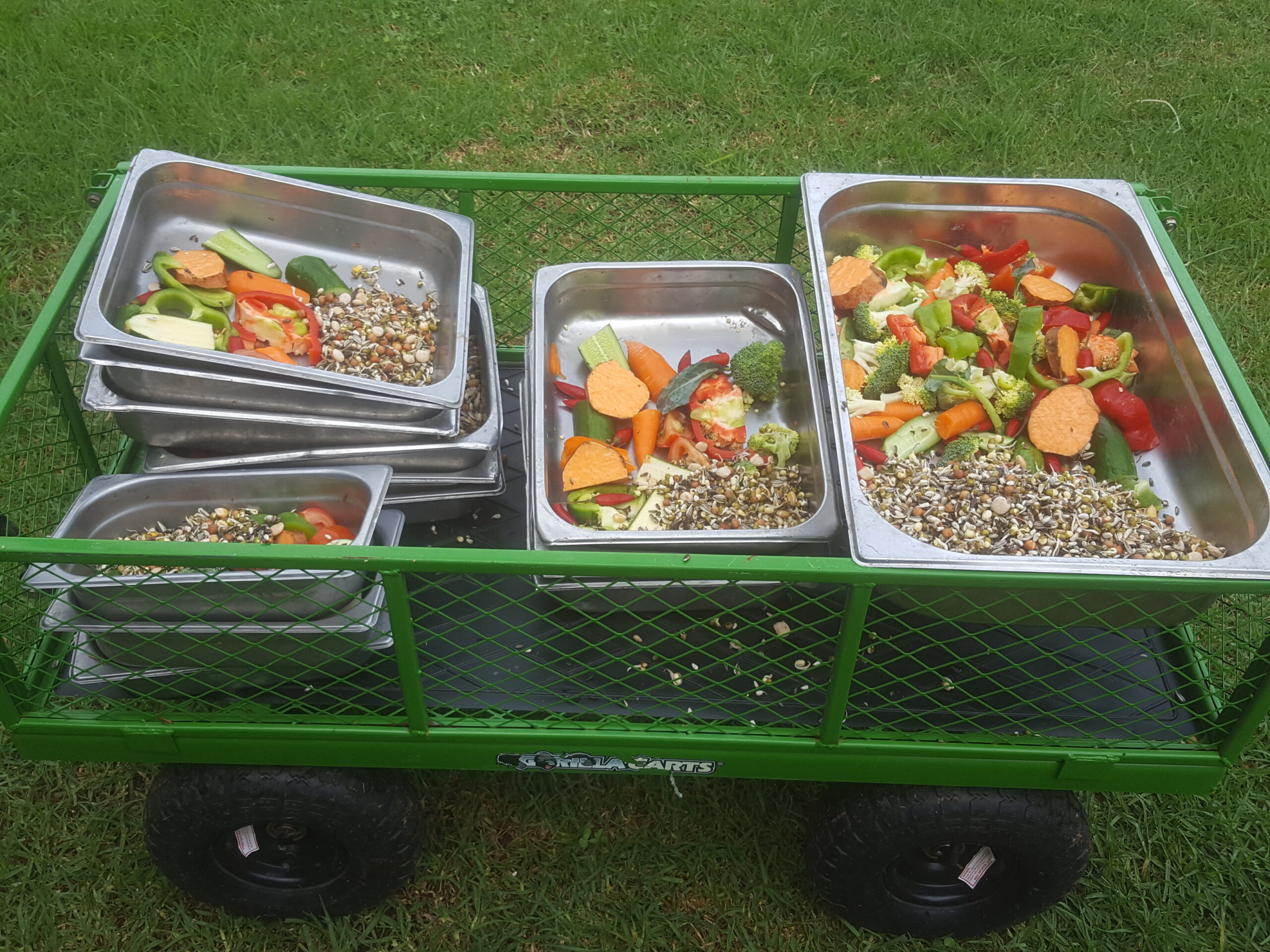 Bird Boarding Sydney