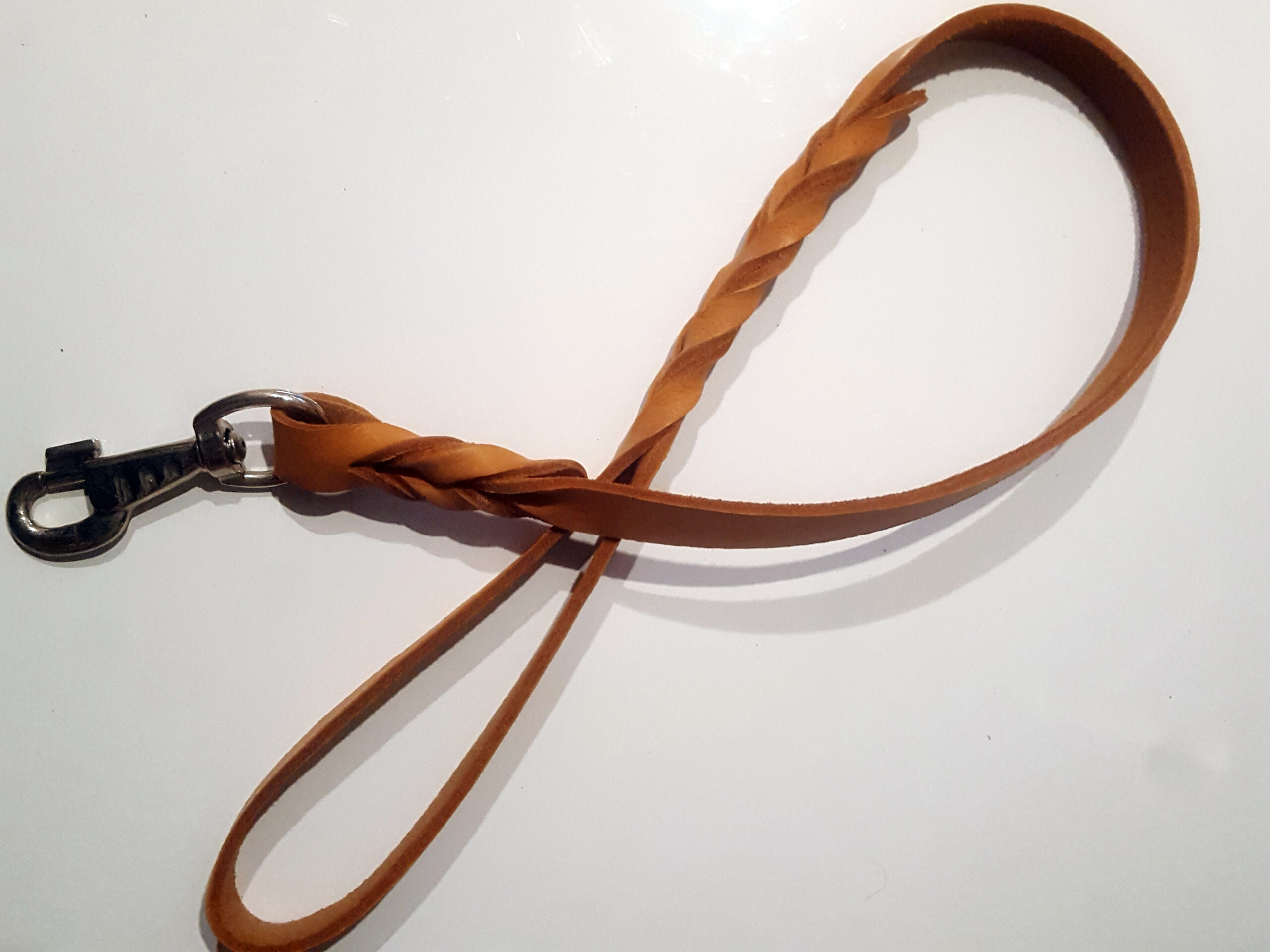 Short tan lead Sydney Dog Training